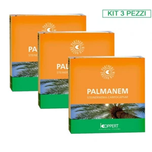 Koppert Kit 3 Paquetes Palmanem 2x25 Millones Por Nematodos - Imagen 1 de 4