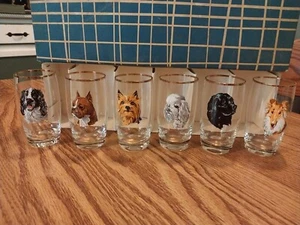 Complete Set Of 6 Handpainted Dog Motif Shot Glasses Gold Rim In Original Box - Picture 1 of 24