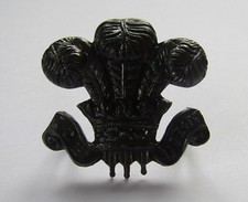Military Badge Royal Wiltshire Yeomanry (Prince of Wales's Own) (Ref BB505)