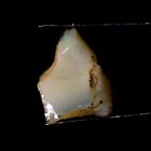 05,50 ct 100% natürlicher äthiopischer Opal grober Cabochon 12x17mm Edelstein OE45
