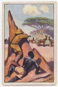 JAGD HARTEBEESTE HUNTING HARTEBEEST CHASSE BUBALE FANG IMAGE CARD 1930's - Picture 1 of 2