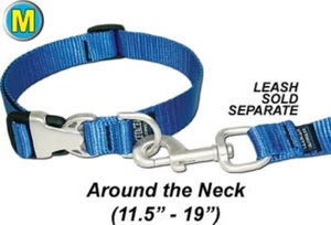 Dog/Pet Collar w/ Satin Metal Hardware - Medium 11.5-19" - PTC34AQR6 - Red - Picture 1 of 2
