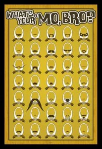 POSTER Whats Your Mo Bro Schnurrbärte - Bild 1 von 1