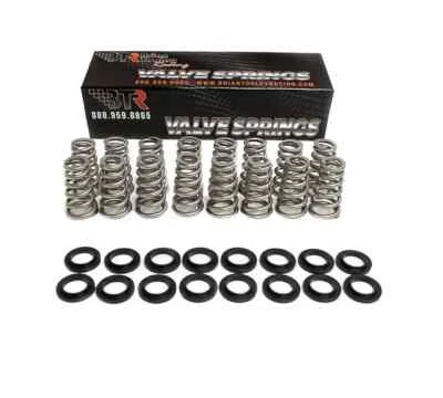 Brian Tooley Racing BTR SK017 .650 Valve Springs for 2009+ GEN III HEMI 5.7L - Image 1 of 2