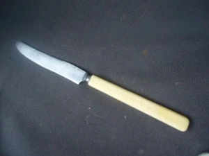 vintage Wiltshire bone handle handled serrated steak knife - Picture 1 of 5