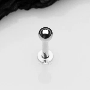 14 Karat White Gold Ball Top Flat Back Stud Labret - Picture 1 of 4