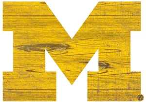 MICHIGAN Distressed Sports LOGO Removable/Reusable Wall Vinyl Die Cut Decal - Picture 1 of 8