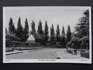 Croydon South London PURLEY The Rose Walk c1956 RP Postkarte von Raphael Tuck PL21 - Bild 1 von 2