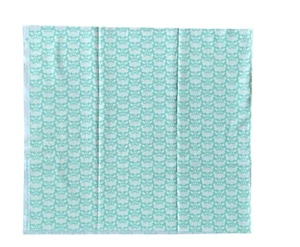 Heather Bailey Clementine Collection Posie Aqua 0.5m 100% Cotton Fabric - Picture 1 of 5