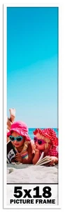 5x18 Frame White Wood Picture Photo Frame with UV Acrylic and Acid Free Backing - Picture 1 of 7