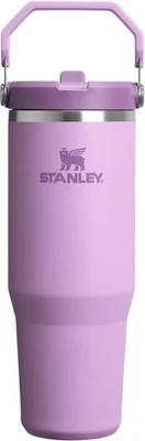 STANLEY NEW FLOW STATE QUENCHER TUMBLER H2.0 WATER BOTTLE PURPLE 890ml/30 oz.