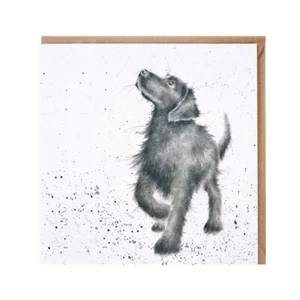 The Country Set Walkies - Carta Labrador Nera di Hannah Dale - Foto 1 di 1