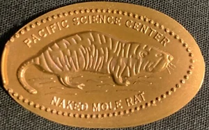 ¡RETIRADO! ¡COBRE! RATA TOPO DESNUDA - CENTRO DE CIENCIAS DEL PACÍFICO CENTAVO DE WASHINGTON - Imagen 1 de 2