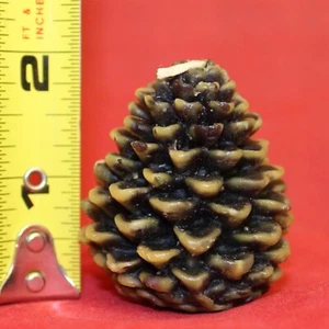 Illuminate 6 Pinecone Candles Gift Set NIB 2 inchPine Cones - Picture 1 of 5