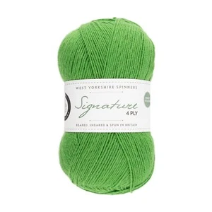 WYS Signature 4ply Yarn Chocolate Lime (395) 100g West Yorkshire Spinners - Picture 1 of 3