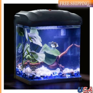 2 Gallon Glass Aquarium Small Fish Tank Betta Self-Cleaning w/ Filter LED Light - Picture 1 of 7