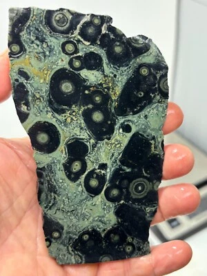 Kambaba Jasper Stromatolite Slab Lapidary Cabbing Combo Ship Avail - Image 1 of 4