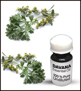 Davana Essential Oil 100% Pure Undiluted (10ML-500ML) - Picture 1 of 1