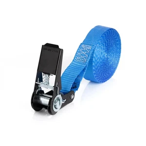 Spanngurt 1tlg. 6m LC 800 daN i.d.U. Blau Schwarze Ratsche - Bild 1 von 1
