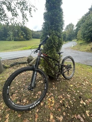 Fuji Rakan Lt 1.1 - Bild 1 von 4