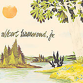 Albert Hammond Jr. : Yours to Keep Alternative Rock 1 Disc CD DISC ONLY #87A