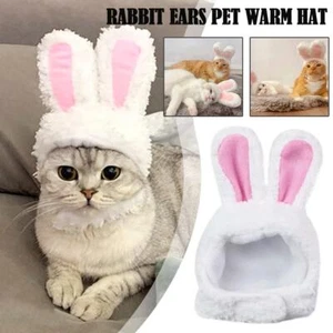 ·Lustige Katze Kopfbedeckung süße Kaninchenohren Mütze für Katzen warm Plüsch Haustier Mütze - Bild 1 von 12
