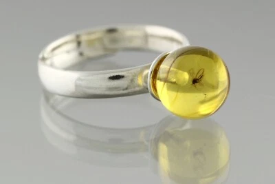 Anillo ajustable BITING MIDGE ÁMBAR BÁLTICO genuino cuentas redondas plata 2,7 g 0506-14 Foto 1 de 4