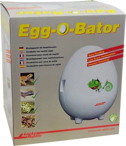 Incubatrice per Uova Di Rettili 4L - Covatrice Egg-O-Bator Con Contenitori - Inc - Foto 1 di 6