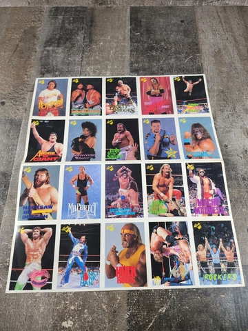 Wrestling Poster 13x13 Vintage Ultimate Warrior, Jake The Snake Cover