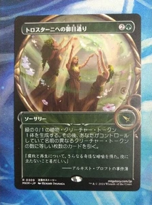 MTG Audience with Trostani Borderless Japanese MKM Hendry Iwanaga R309 NM - Picture 1 of 1