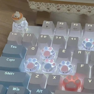 Clavier mécanique capuchon en résine pattes de chat pavé rétroéclairé transparent RGB WASD flèche ESC - Photo 1/15