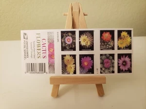 CACTUS FLOWERS 2018 Booklet (20 Forever Stamps) Sheet USPS - Picture 1 of 3