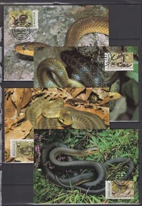 F2019 - Moldavie , Moldova 1993 - Maxicards -Slangen / Snakes (WWF/WNF) - Picture 1 of 1
