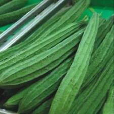 20 seeds Chinese Okra/Angled Luffa/Angled Gourd/Tori/Turai Fresh2021 Seeds,Usa