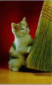Kitten with Broom - fun with a broom Vintage Postcard PP1 - Picture 1 of 2