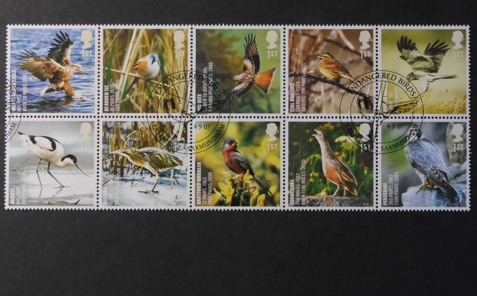 GB 2007 Action for Species: Birds block of 10 set SG 2764-2773 used E162 - Image 1 of 1