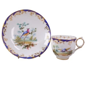 Coalport Tea Cup Saucer John Randall Exotic Birds Circa 1850 - Picture 1 of 12