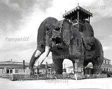 Lucy the Elephant Atlantic City NJ 8x10 Photo