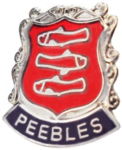 Peebles Town Small Pin Badge Scotland - Picture 1 of 4