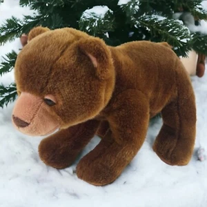 Eric Carle 2008 Bear Kohls cuida a los niños peluche marrón 13-14 pulgadas - Imagen 1 de 10