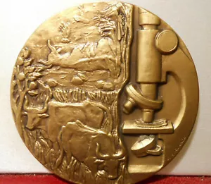 MAKE PLANET GREAT 1999 CALENDAR MEDAL FAO ITALY PROTECTion ANIMALS Bulls cattle - Picture 1 of 2