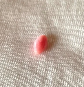 1,16 ct Natural Conch Pearl, pink color and oval egg-shaped - Picture 1 of 14