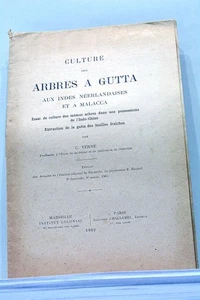 LIVRE ANCIEN VERNE CULTURE ARBRES INDES ET MALACCA 1902 - Picture 1 of 3