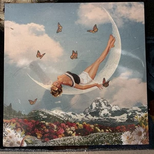 Effin Daydreams Blue Marble Vinyl LP - Sealed - Free Shipping - Picture 1 of 3