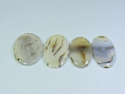 207Cts. Natural Botswana Agate Oval Cabochon Loose Gemstone 4 Pcs Lot k964 - Image 1 of 4