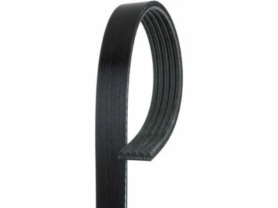 Cinturón multi costilla para Daewoo Lanos 1999-2002 AC Delco 65233QT Foto 1 de 2