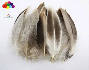 10-100 PCS Natural Pheasant Tail Feathers 2-4 inch /4-10 cm Carnival Diy costume - Picture 1 of 6