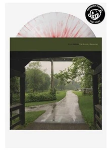 Cloud Nothings - The Shadow I Remember - Limited 1/300 Strawberry Cough Vinyl LP - Picture 1 of 4
