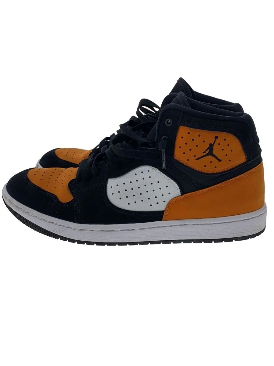 Jordan Access Shattered Backboard for Sale | Authenticity