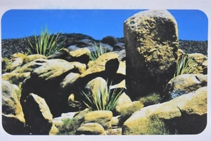 Acquario Terrario Deserts Sfondi Double Sided Lucido Finitura 12 Inches Alto - Foto 1 di 2